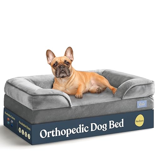 Pamper Your Pooch: The Ultimate Guide to the Orthopedic Sofa Dog Bed for Medium Breeds