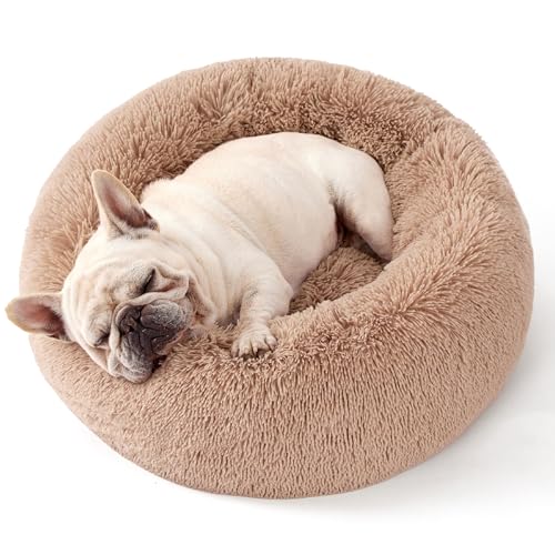 Pawsitively Cozy: The Bedsure Donut Dog Bed That Every Furry Friend Deserves