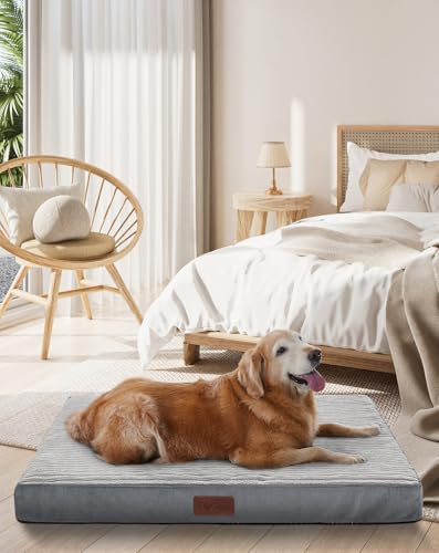 Sleep Like a Pup: The OhGeni Orthopedic Dog Bed Redefines Comfort for Every Size