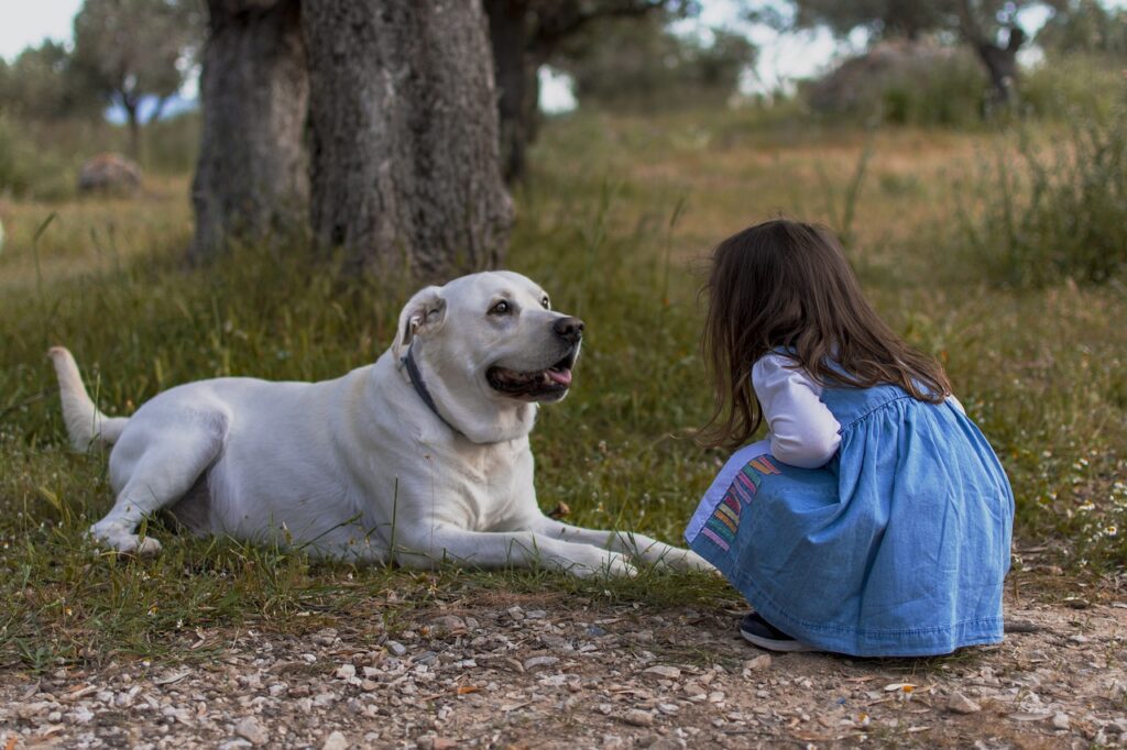 kid, dog, outdoors