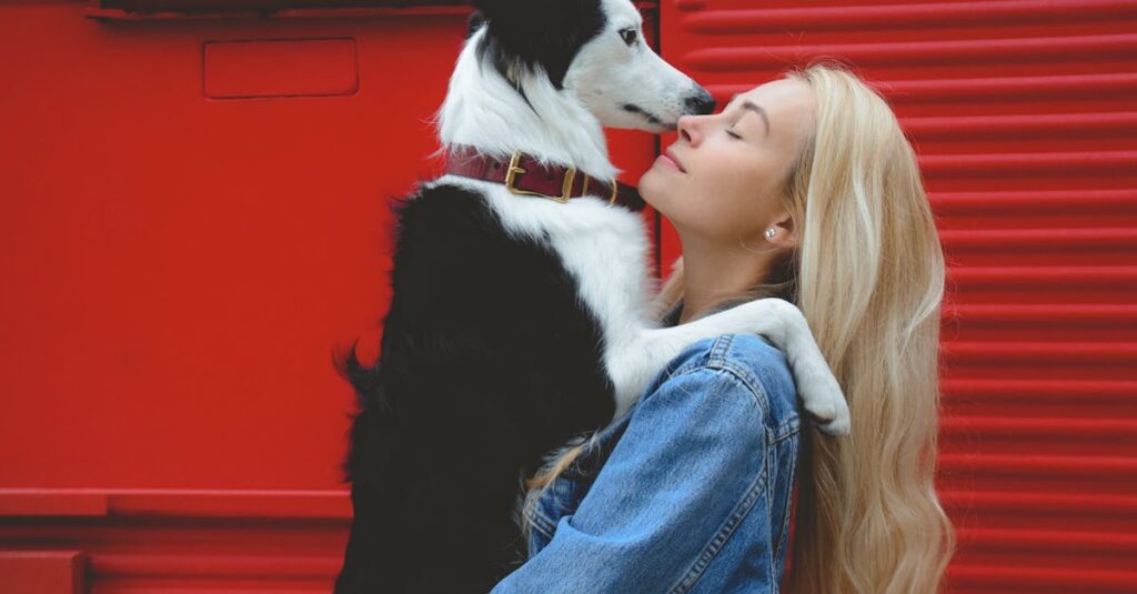 A woman lovingly holds her Border Collie against a vibrant red backdrop.