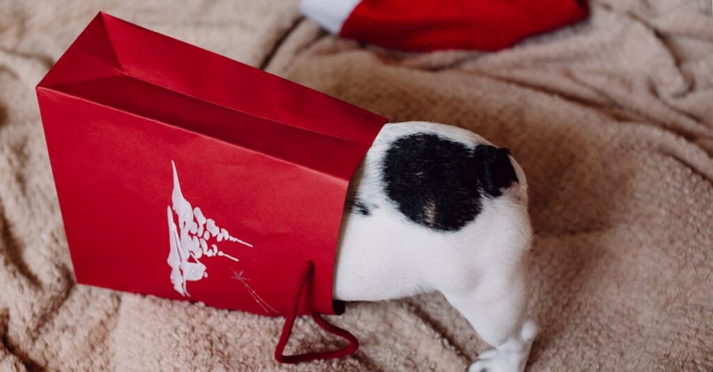 Adorable puppy exploring a red Christmas gift bag with Santa hat nearby, creating a festive and playful atmosphere.