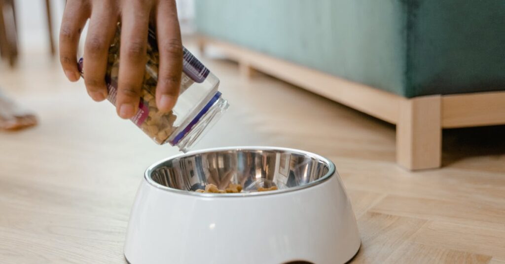 A person pours dog treats from a jar into a metal bowl on a wooden floor.